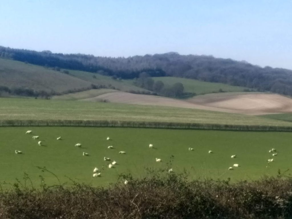 Oxfordshire countryside view