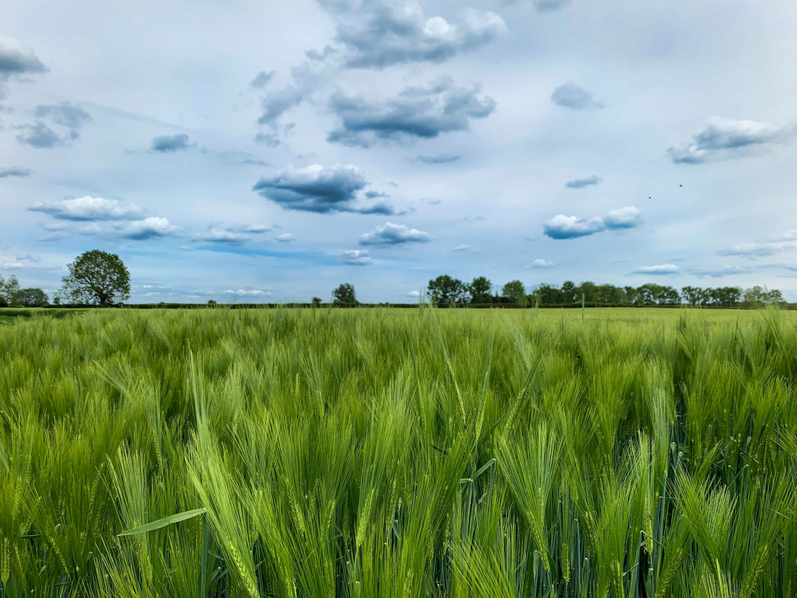Cherwell Local Plan 2040 CPRE Oxfordshire Cherwell Local Plan 2040 CPRE Oxfordshire