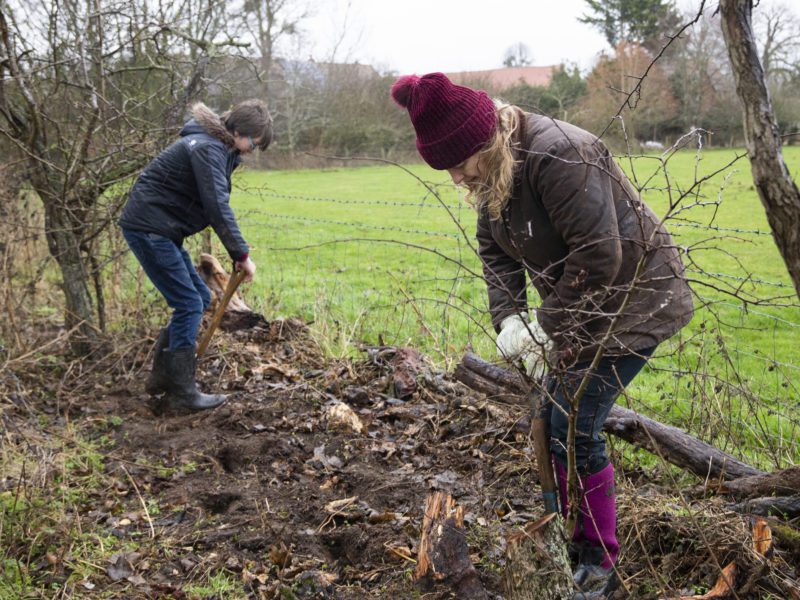 Two ladies preparing ground for hedge planting
