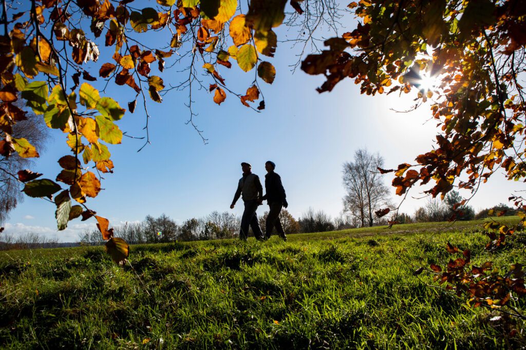 Couple walking in a field in the Autumn