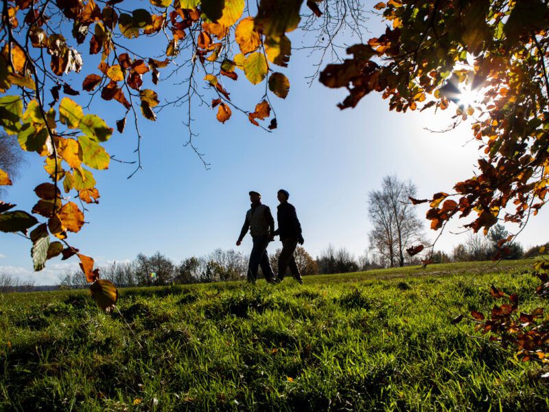Couple walking in a field in the Autumn