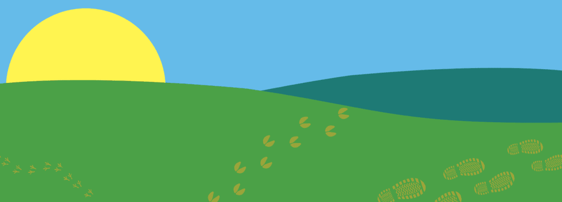 An image of rolling hills and the sun behind with human and animal footprints on the hills