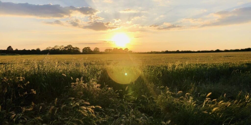 The sunsets behind a lush green field on the Land Behind the Moors