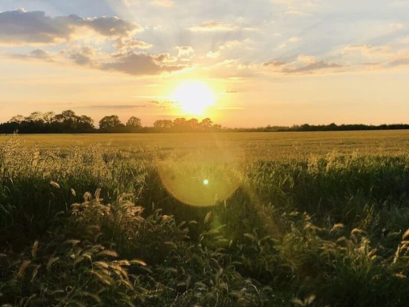 The sunsets behind a lush green field on the Land Behind the Moors