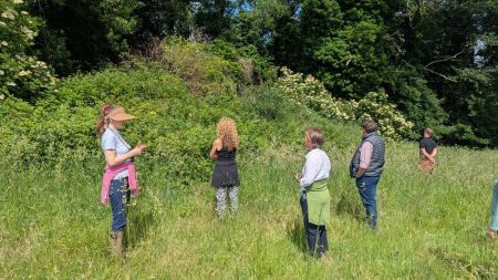 A group of people gather in front of towering scrub in the sunshine
