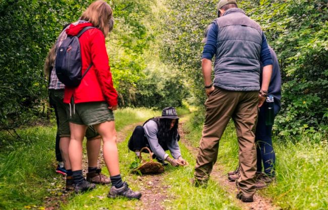 Justine Gens, expert forager, collects something from the ground with people onlooking