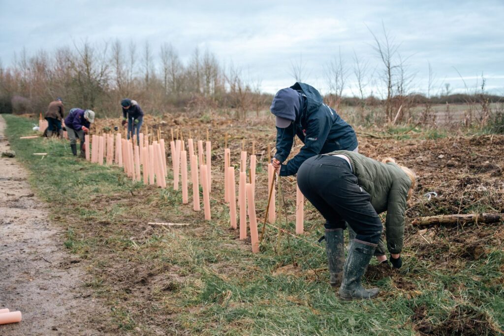 A group planting up new hedgerow as part of the Hedgerow Heroes project