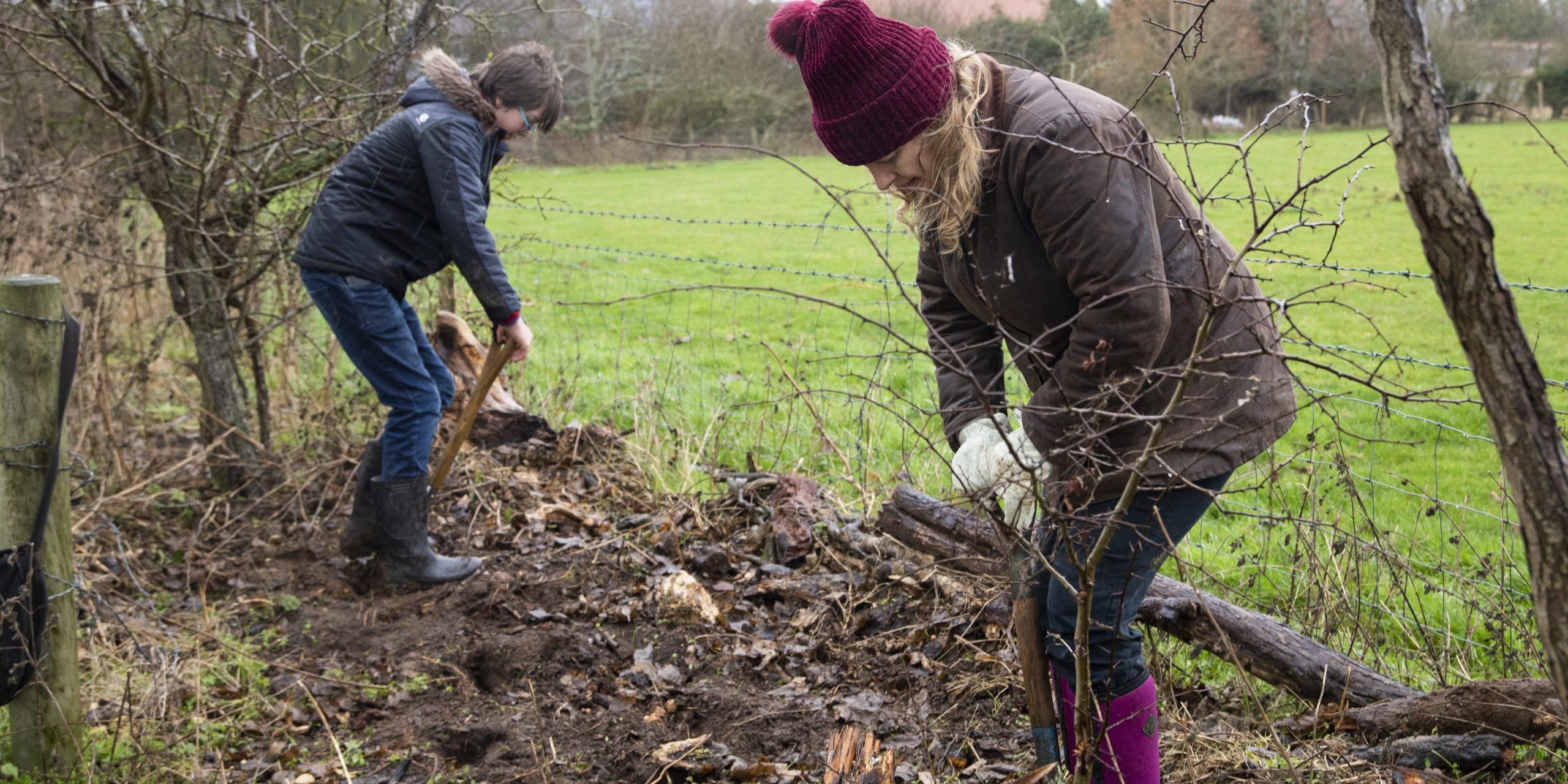 Two ladies preparing ground for hedge planting