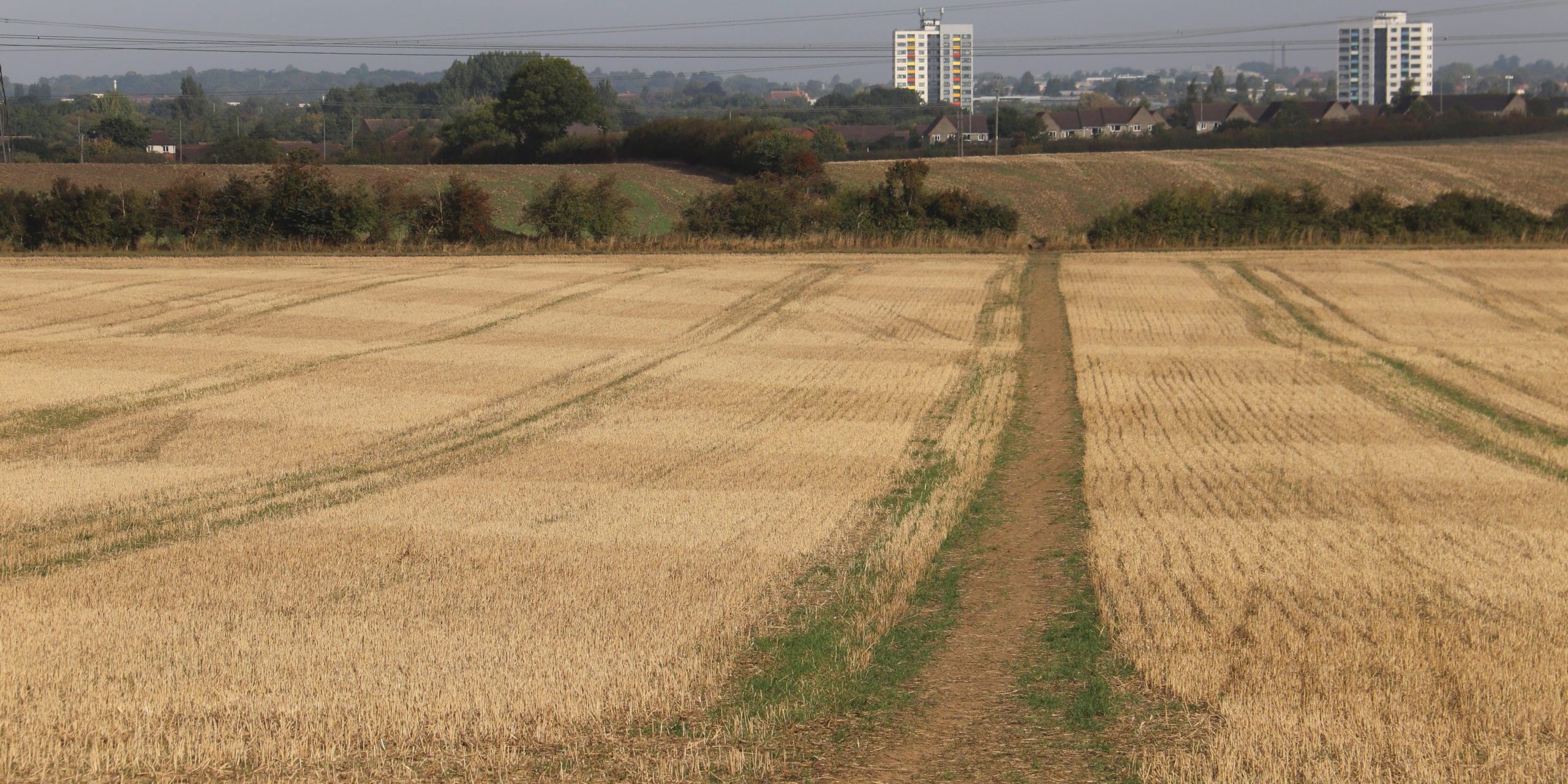 Nineveh Farm -shot towards city