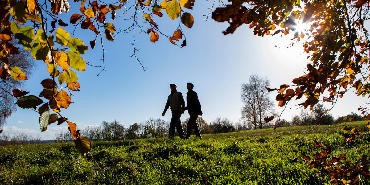 RS2388_Couple walking in a field in the Autumn (4)_scr Couple walking in a field in the Autumn