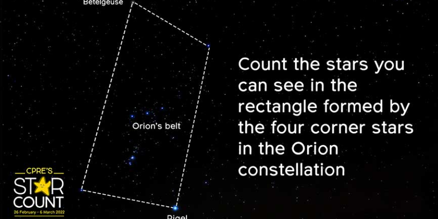 Star Count 2022 - orion