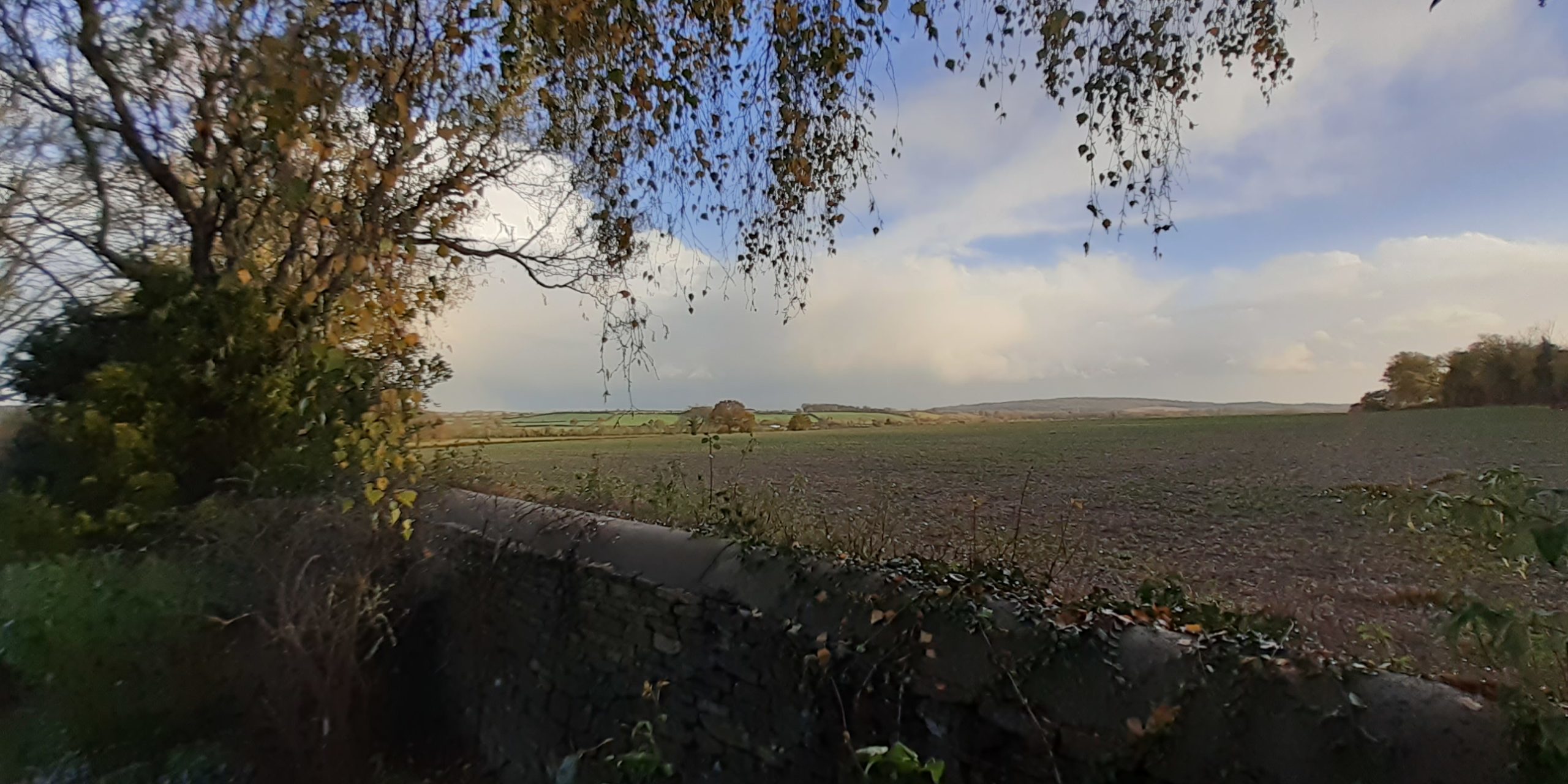 Views across BWSF from Church Hanborough