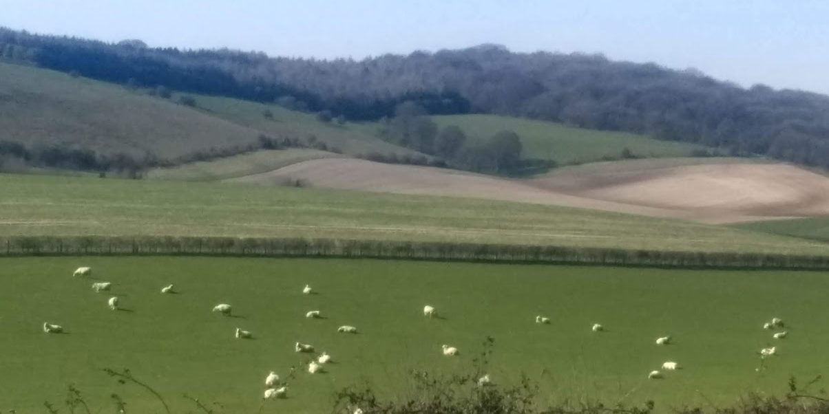 Oxfordshire countryside view