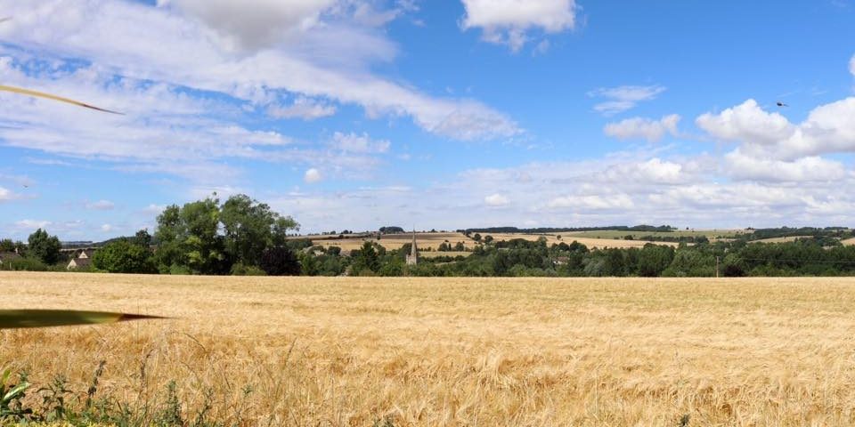 Cole's Field, Burford c. S Haywood