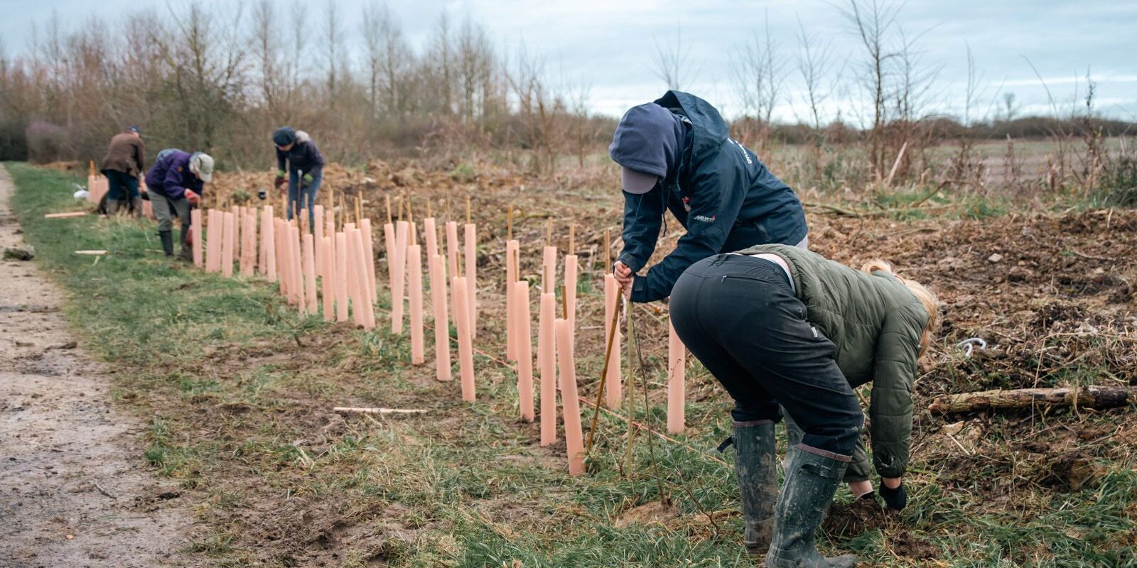 A group planting up new hedgerow as part of the Hedgerow Heroes project