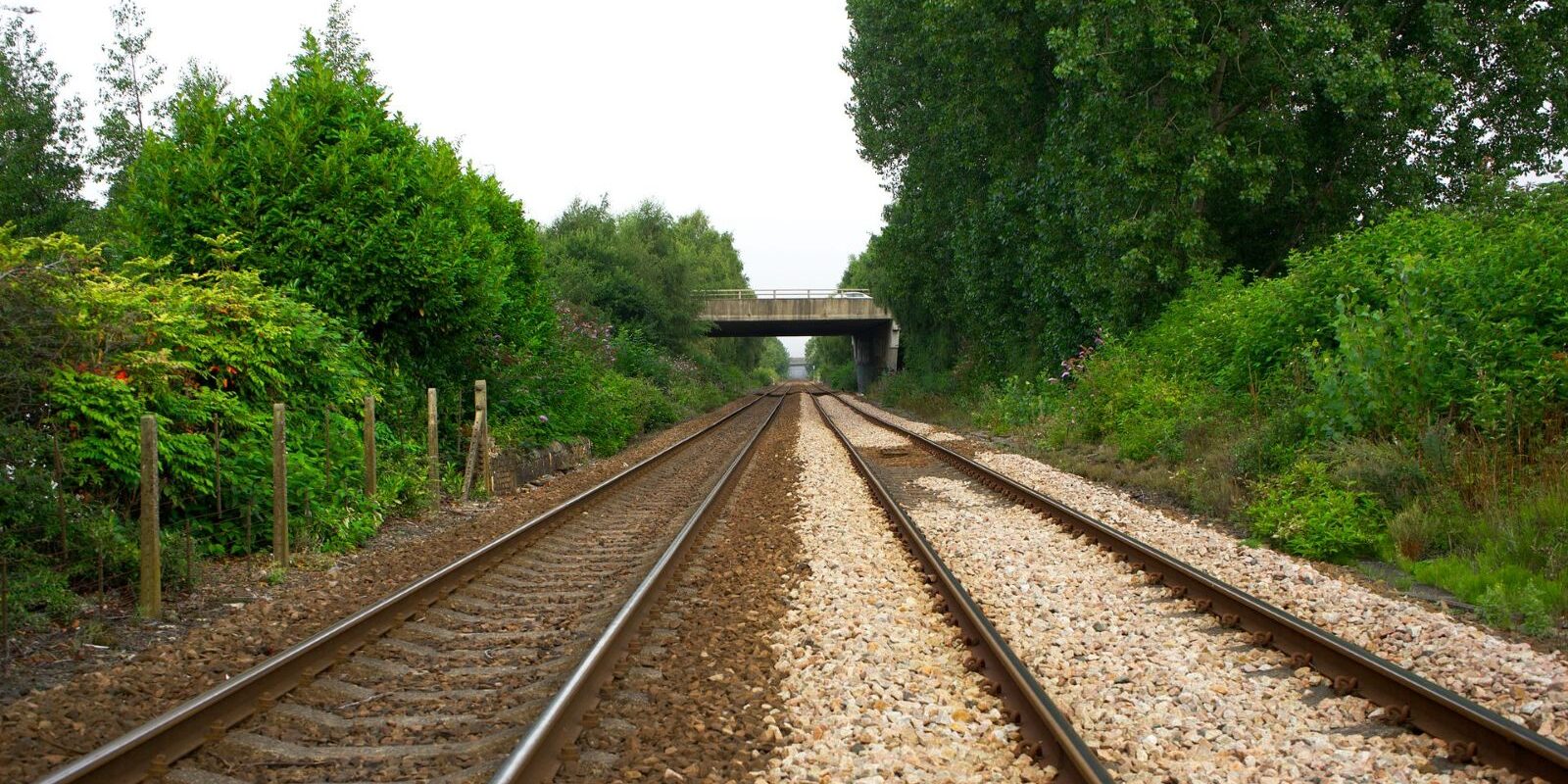 train tracks run into the distance with greenery on either side